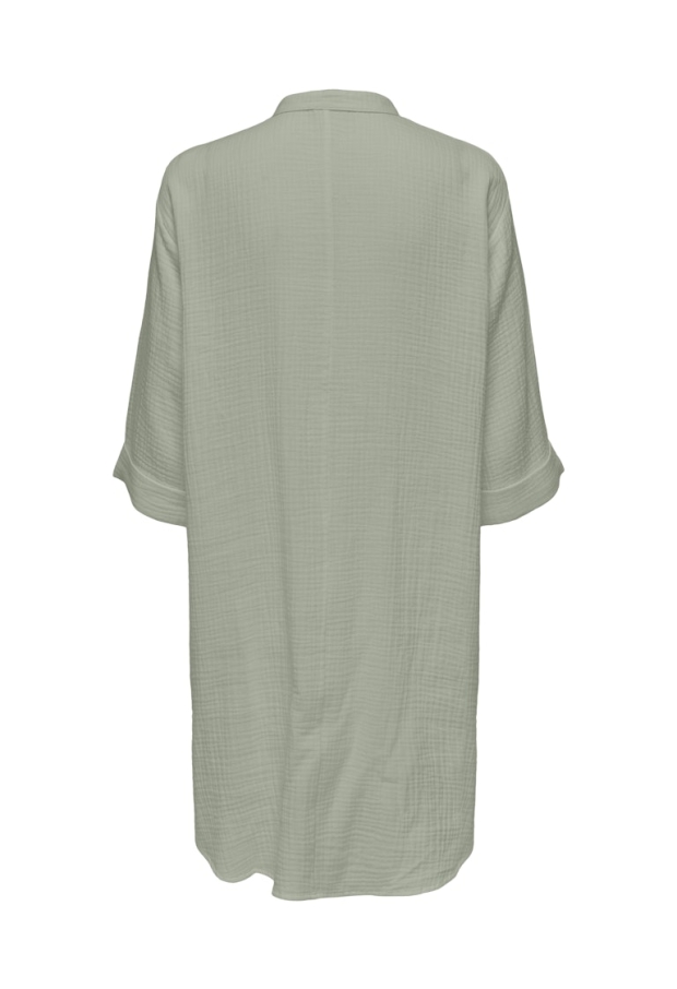 15204625 Desert Sage 