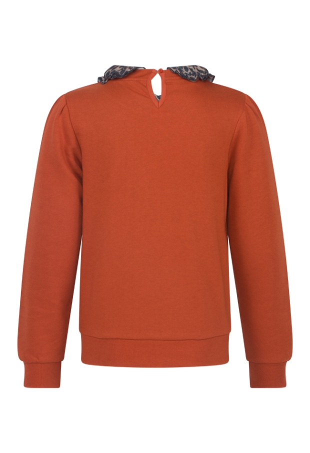 W70175/2510403 roest 