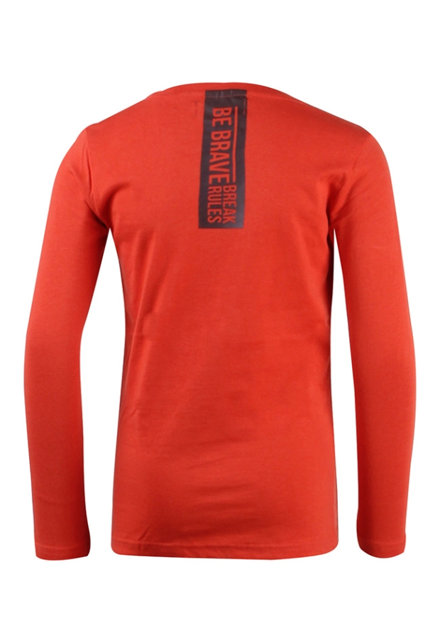 W70325/2517607 terra 