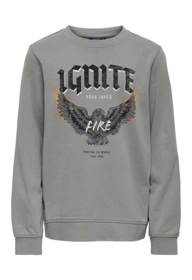 15276988 Sharkskin/IGNITE 