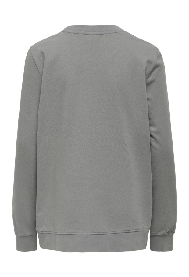 15276988 Sharkskin/IGNITE 