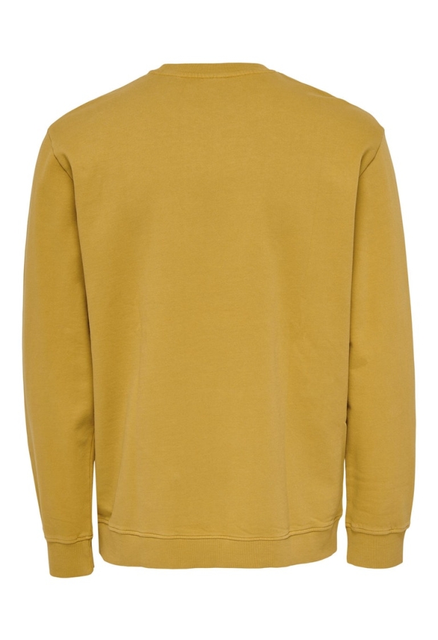 22024205 Harvest Gold 