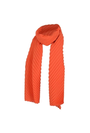 Sarlini 000420-00352 terra  terra