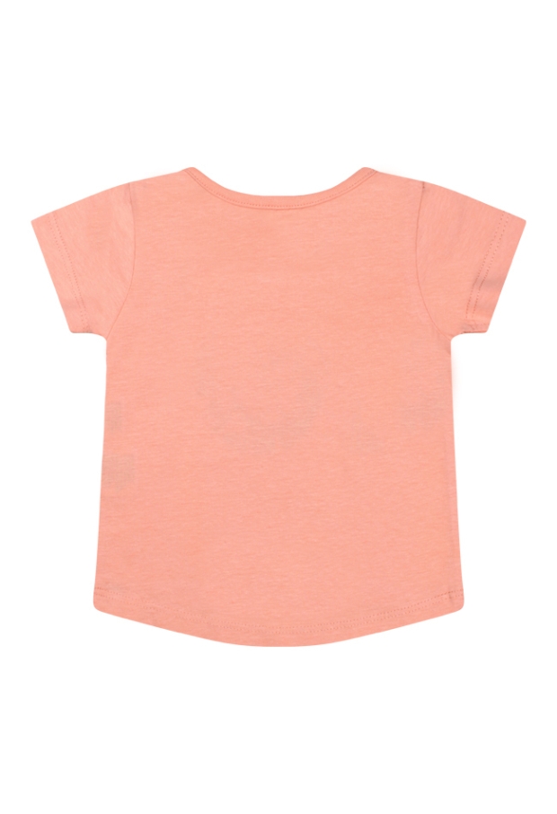 Z70325/Taylor PERZIK 