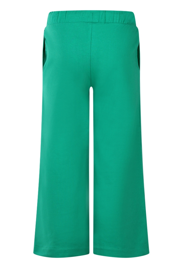 Z70108/2610207 groen 