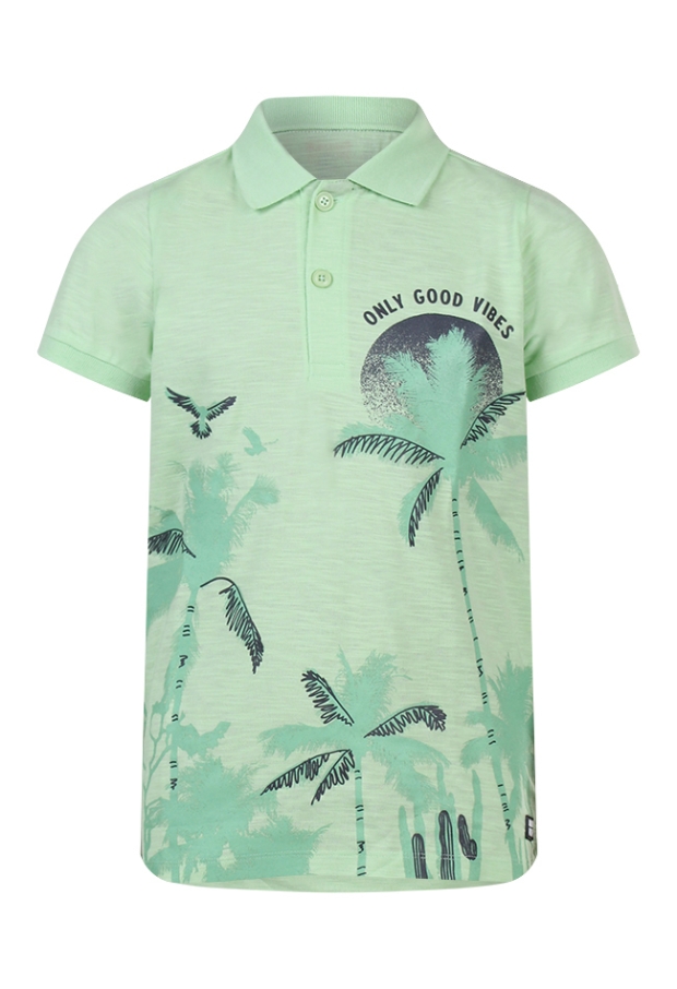 Z70267/2617618 fel groen 