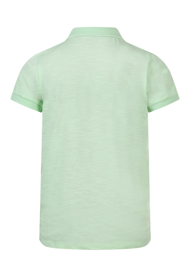 Z70267/2617618 fel groen 