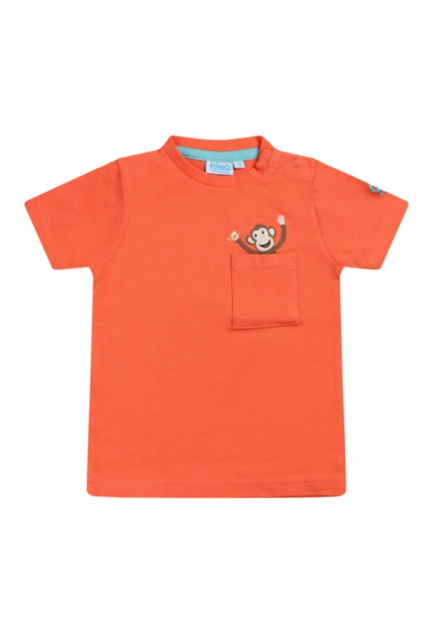 Z70288/2611608 koraal 