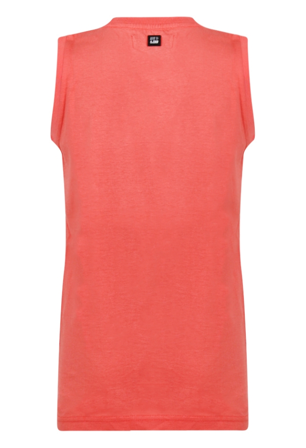 Z70347/2617621 LICHT ROOD 