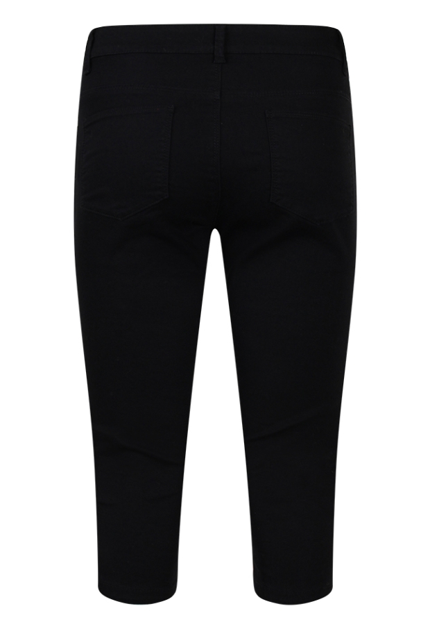 Z70419 /CX20077R2 zwart