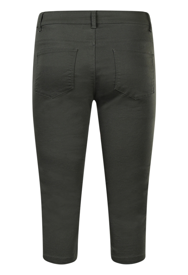 Z70419 /CX20077R2 ARMY 