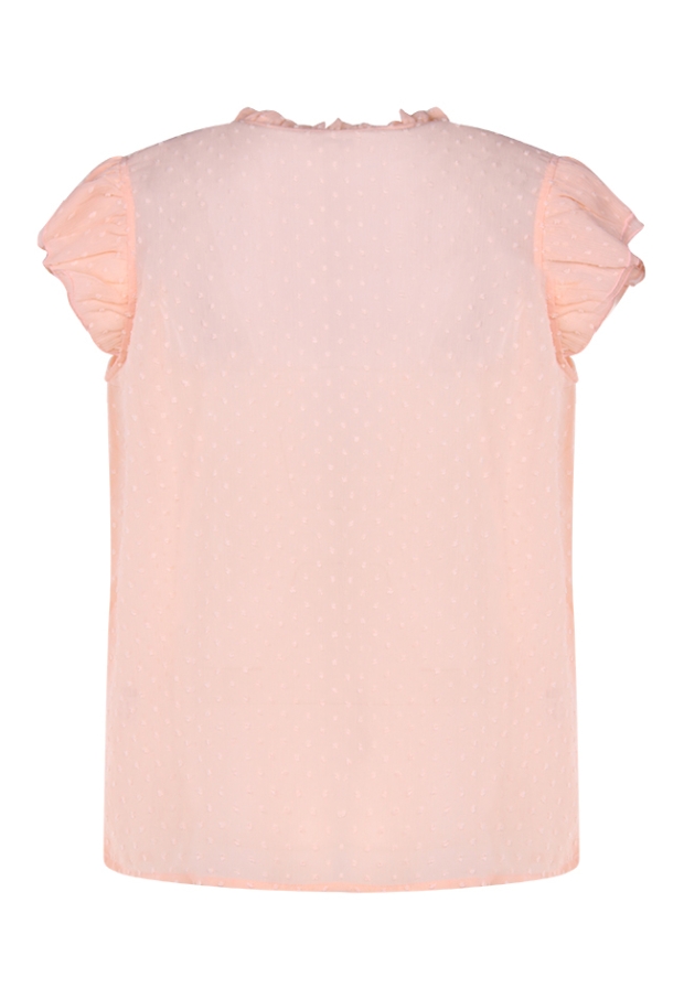 Z70492 /Janny PERZIK 