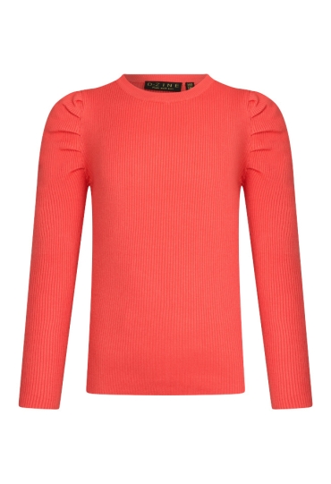 D-zine W80114/Nien koraal  coral