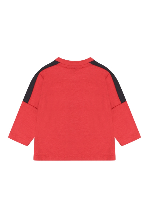 W80317 /2711602 LICHT ROOD 