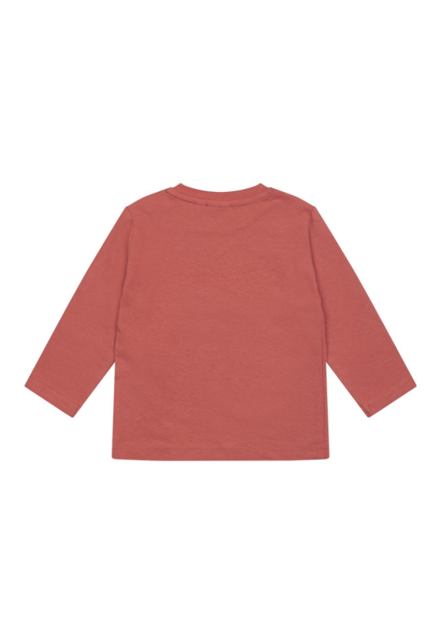 W80318/2711603 LICHT ROOD 