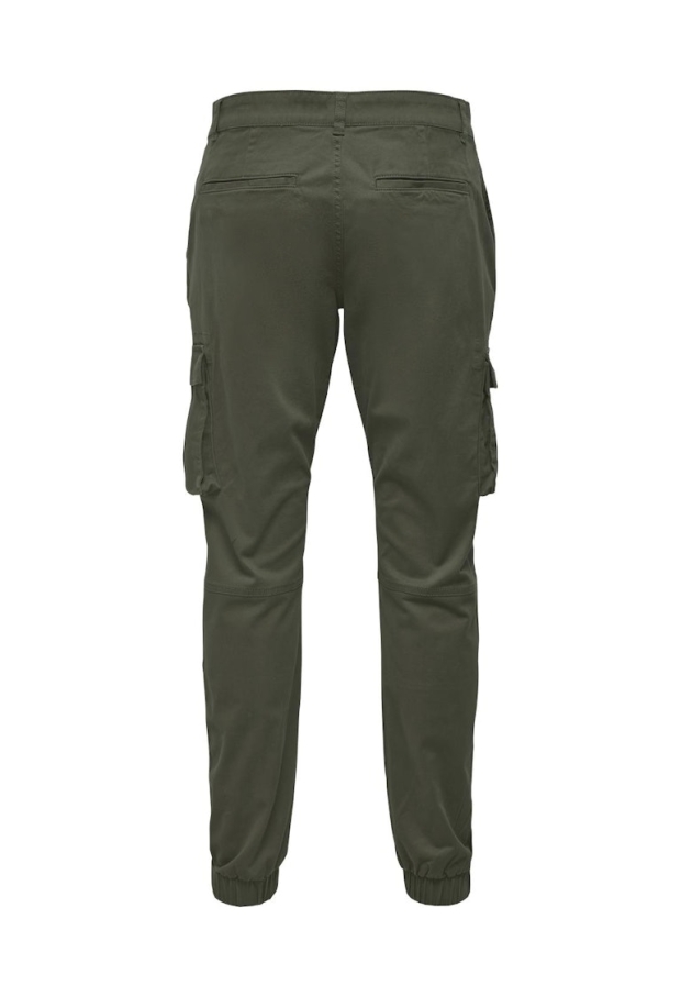 22016687 Olive Night 