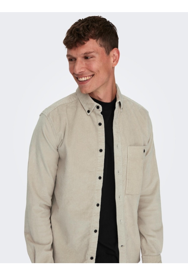 22026296 Silver Lining