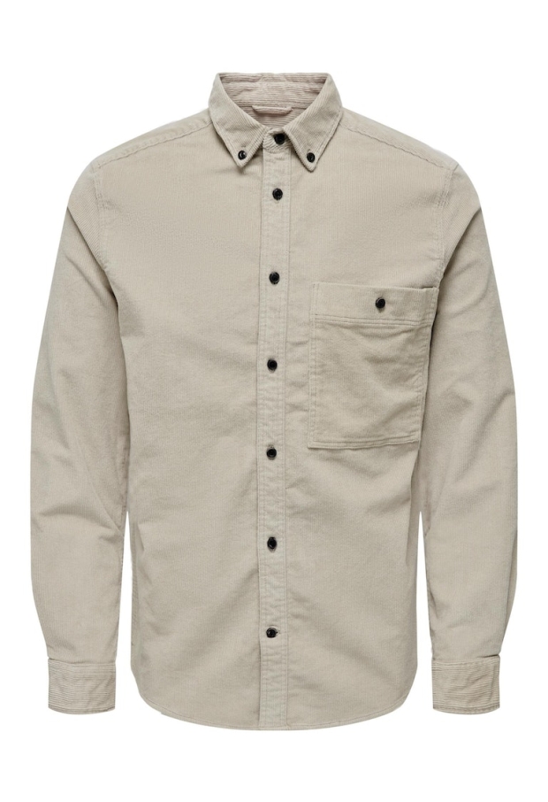 22026296 Silver Lining