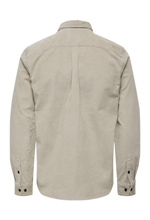 22026296 Silver Lining