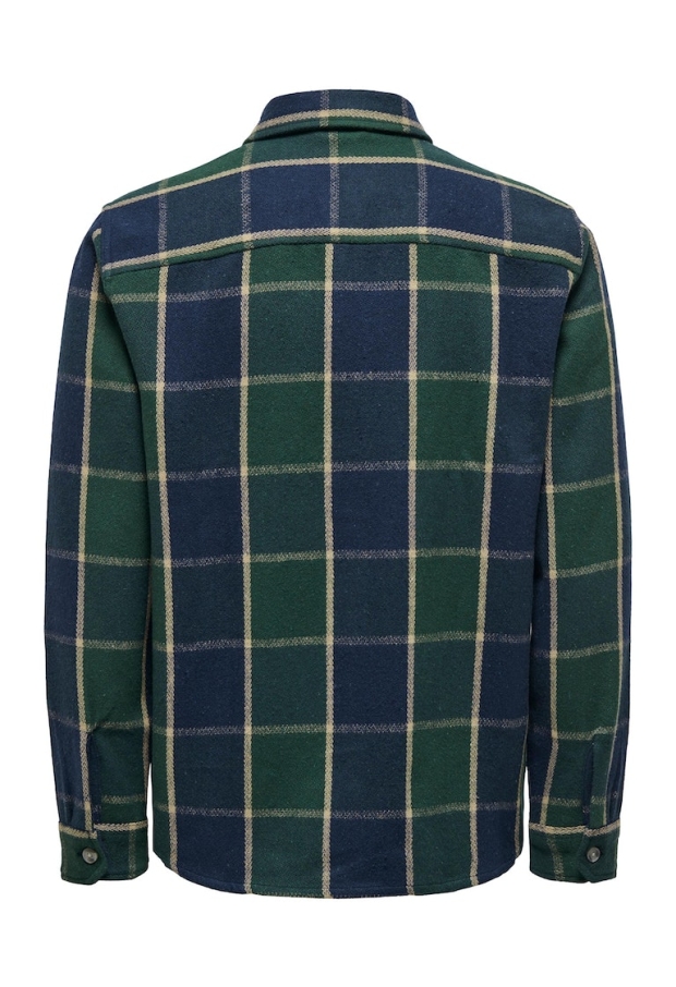 22027318 Winter Moss 