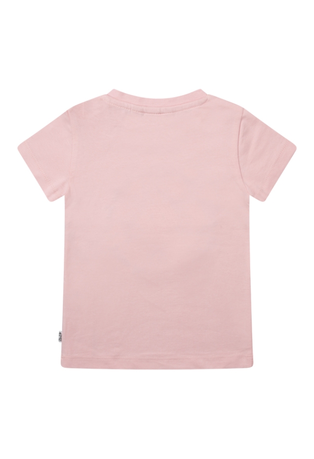 Z80147/2815606 LICHT ROSE 