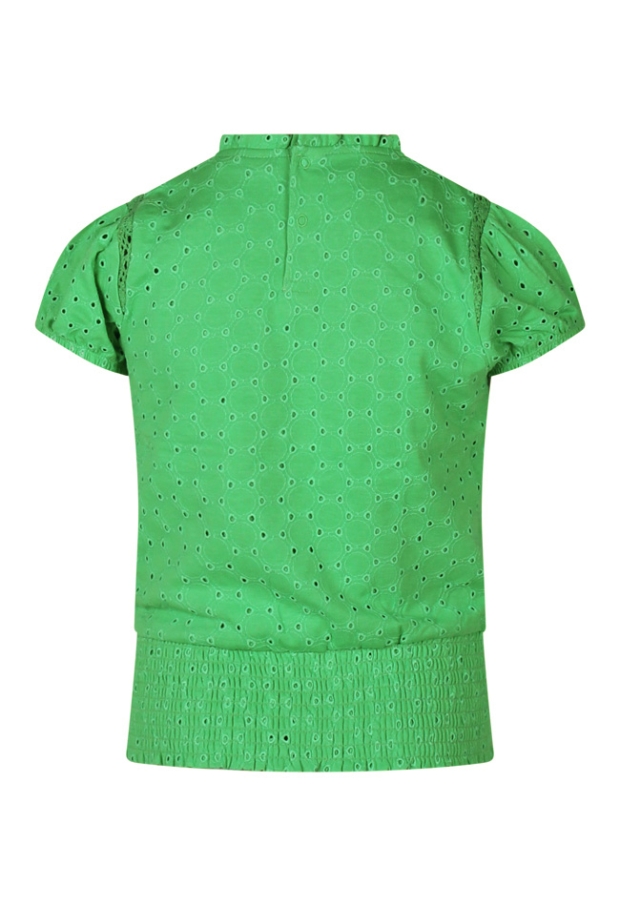 Z80007/2810600 APPEL GROEN 