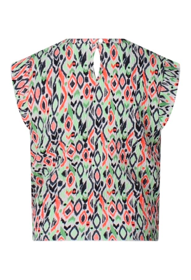 Z80017/2810603 APPEL GROEN 