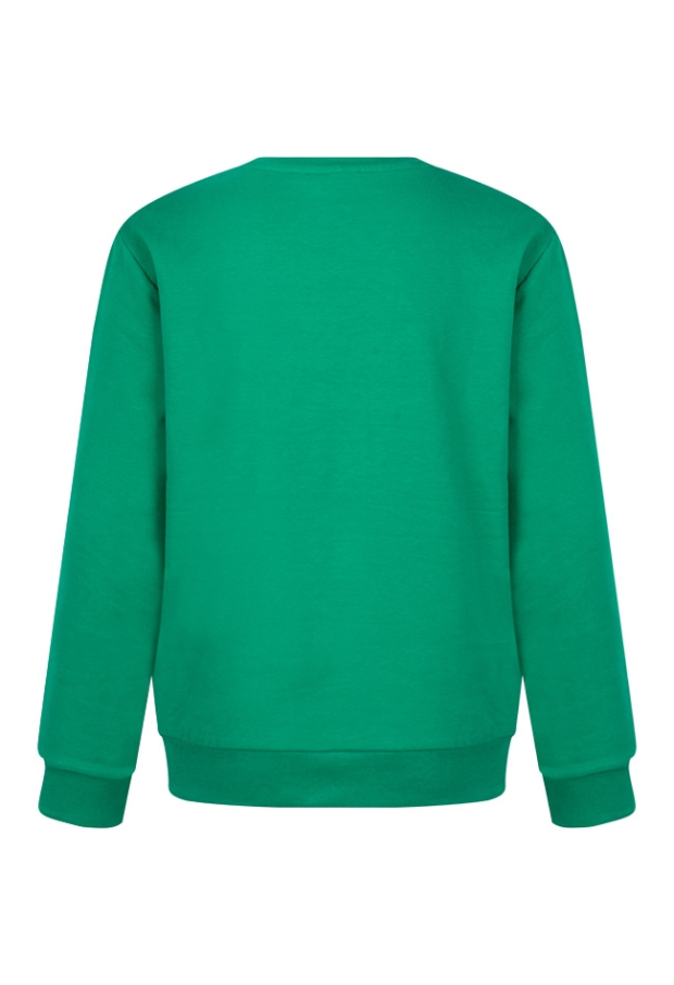 W80480/2717450 groen