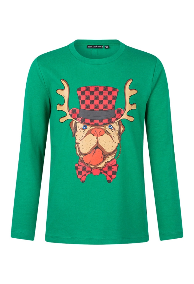 W80481/2717650 groen 