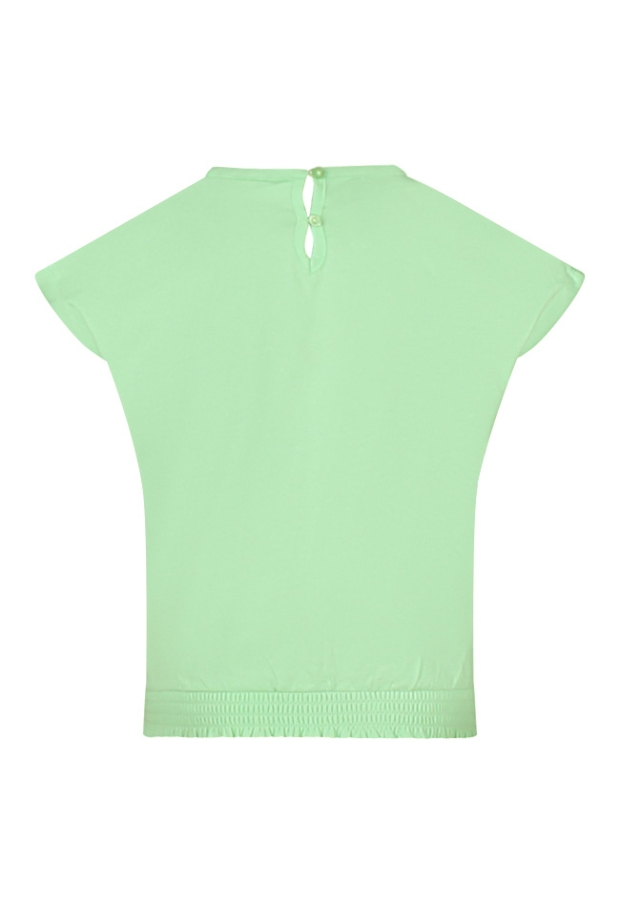 Z80255/Alice mint groen 