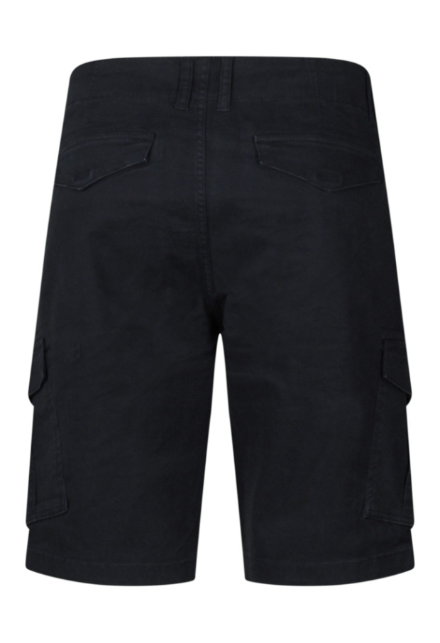 Z80655/MP48271 marine