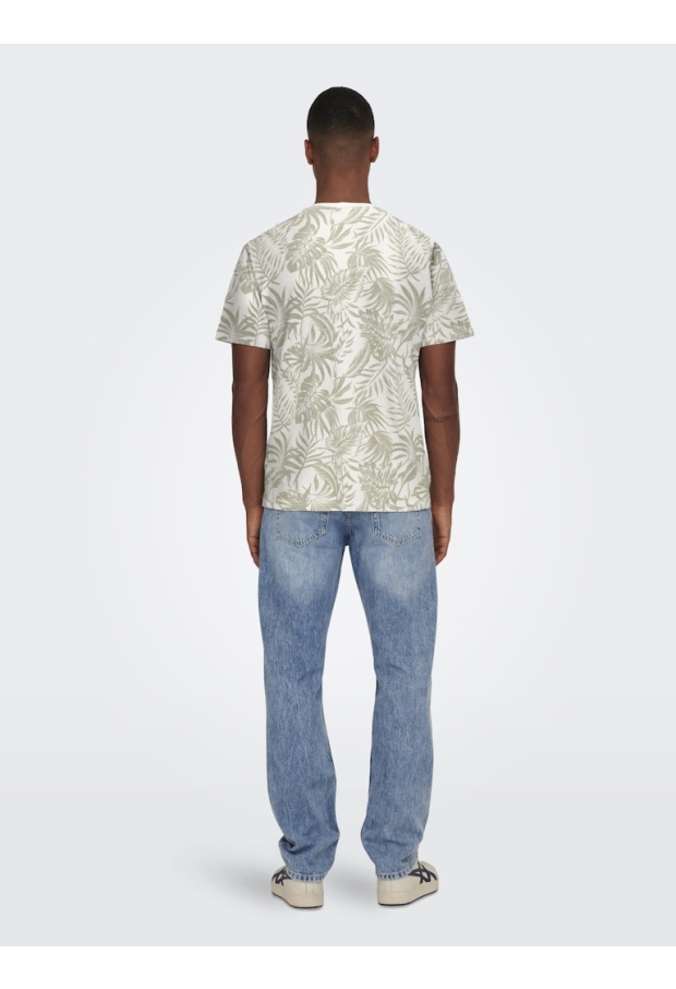 22025283 Cloud Dancer/CLOUD DANCER W. SEAGRA 