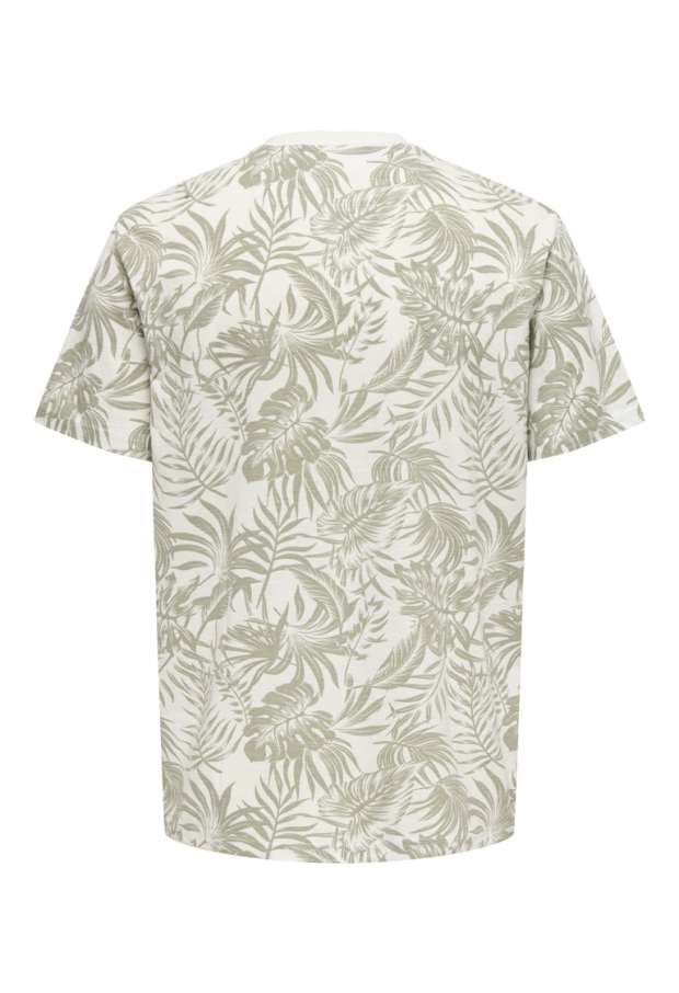 22025283 Cloud Dancer/CLOUD DANCER W. SEAGRA 