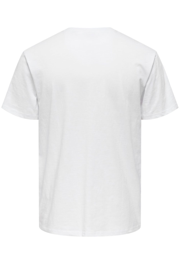 22025286 Blue Nights/SKYWAY 