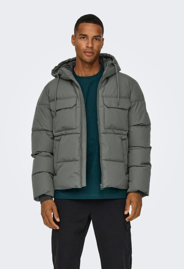 22029661 Castor Gray