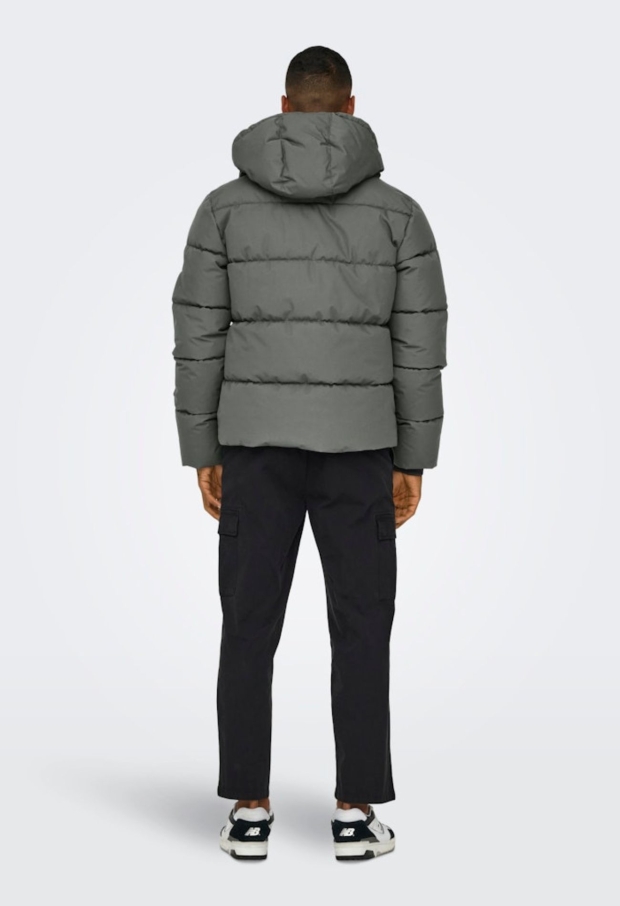 22029661 Castor Gray