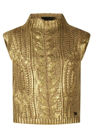 D-zine W90219/Stacy Brons  brons