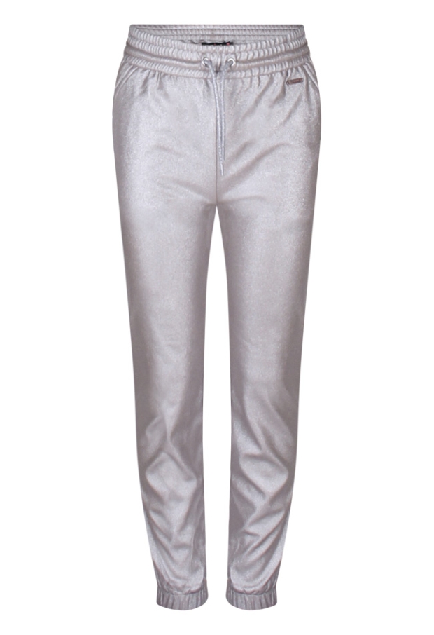 W90043/2910202 zilver 