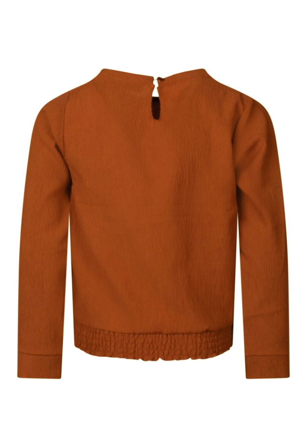 W90092/2910601 LICHT BRUIN