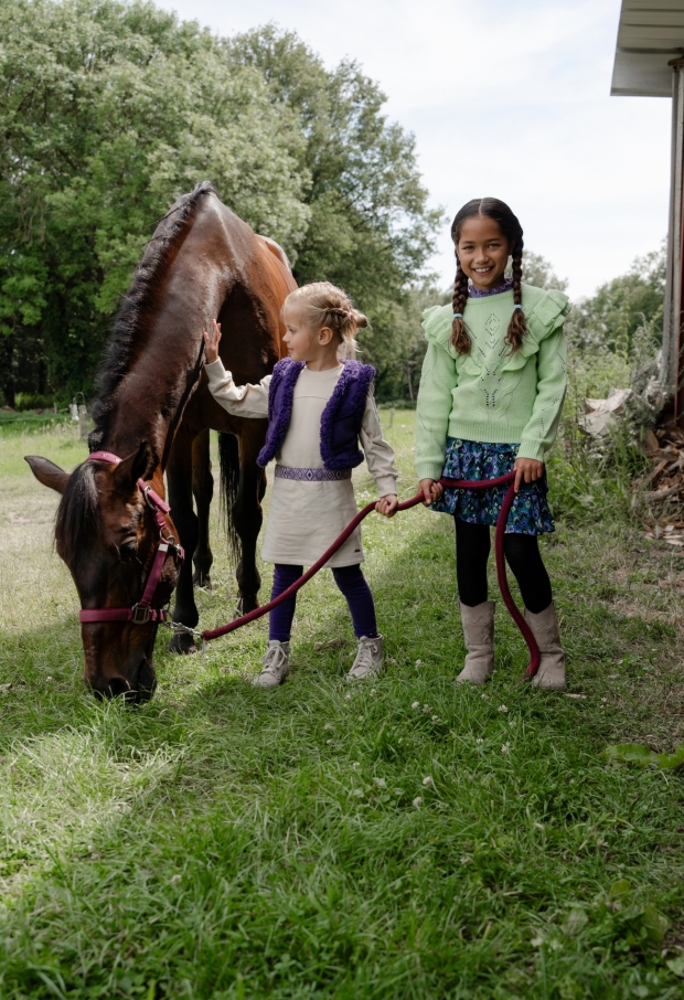 W90126/2910502 paars