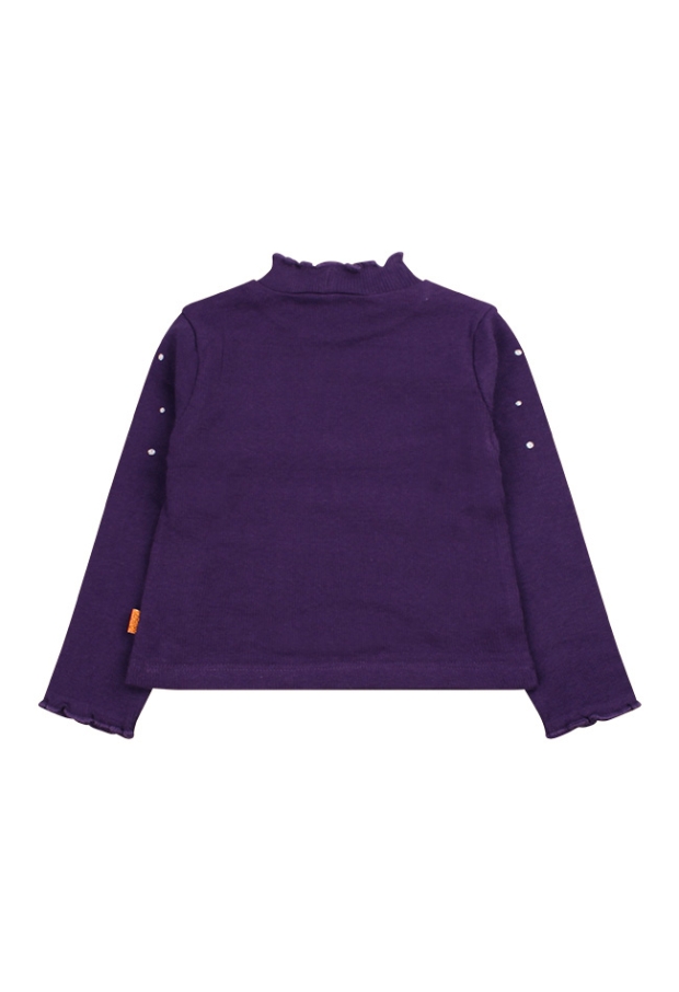 W90543/2915650 paars