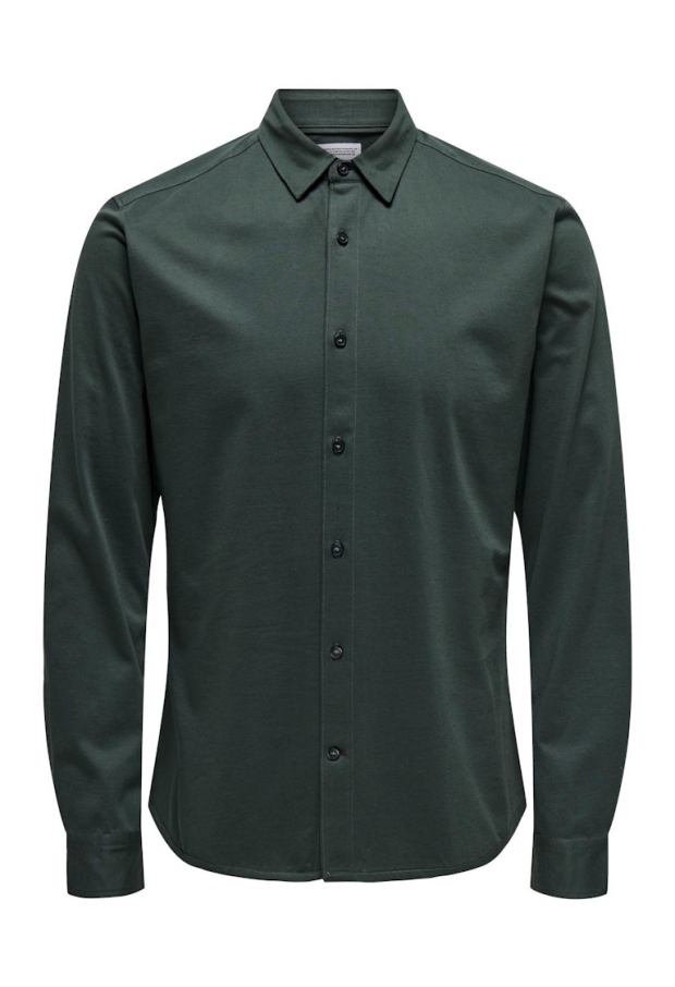 22031023 Darkest Spruce