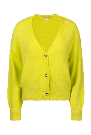 Citylife W90426/CX02554 lime  lovebird