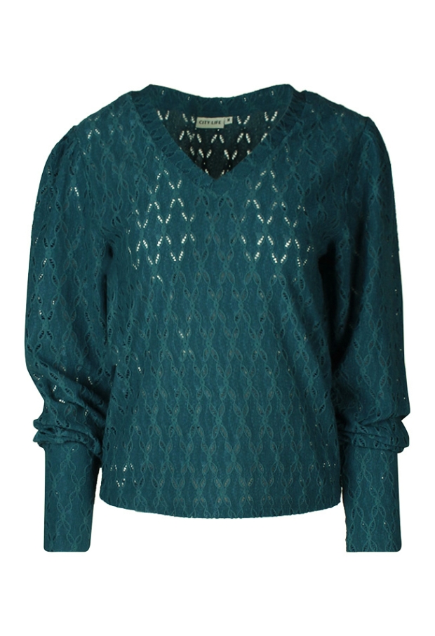 W90497/LT66235 petrol