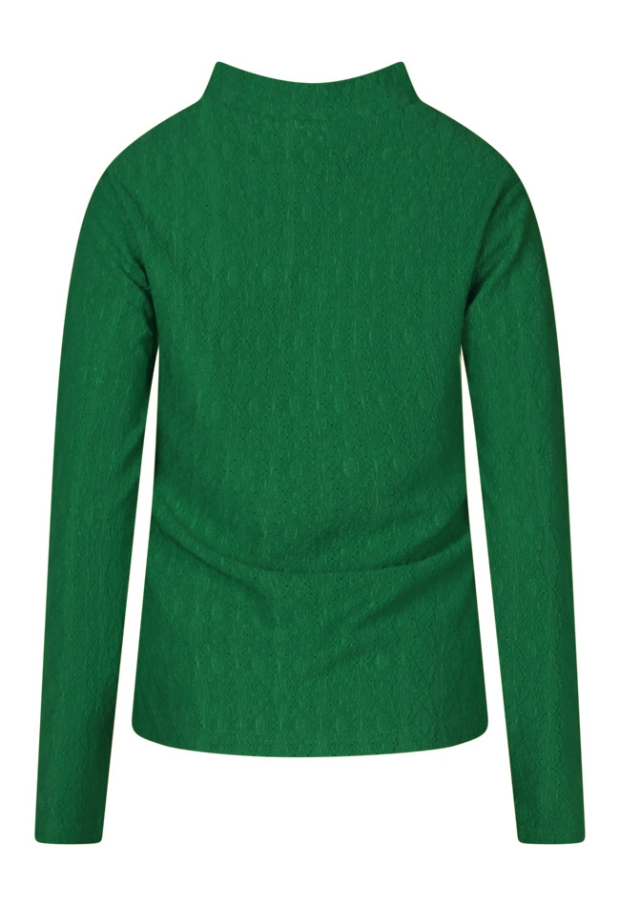 W90498/LT66236 groen 