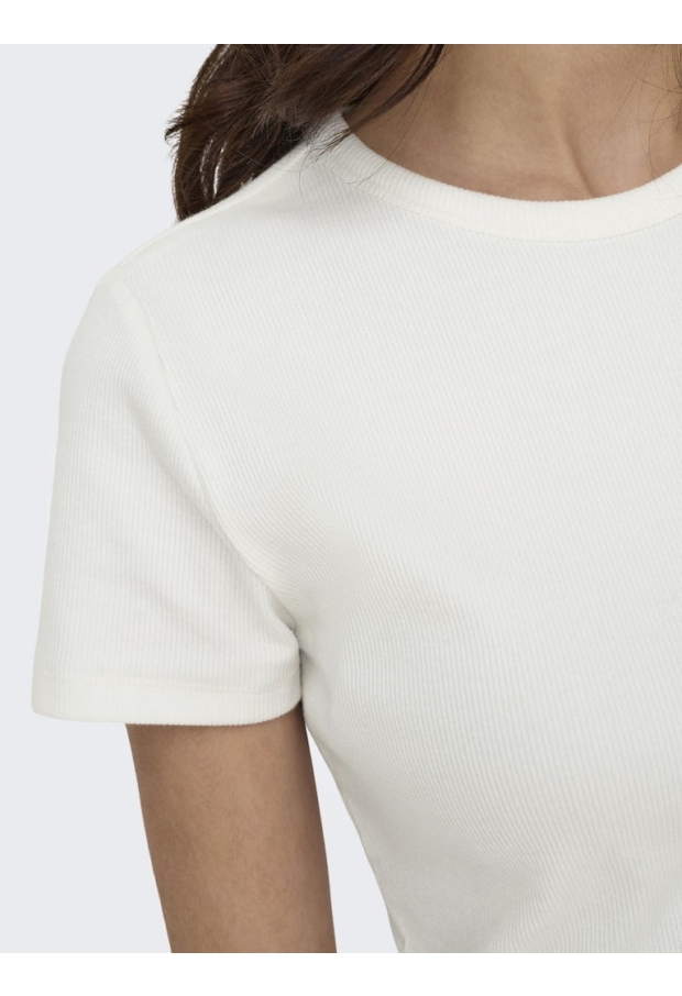 15314449 Cloud Dancer