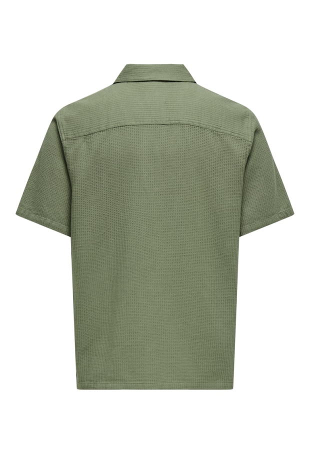 22032054 Deep Lichen Green 