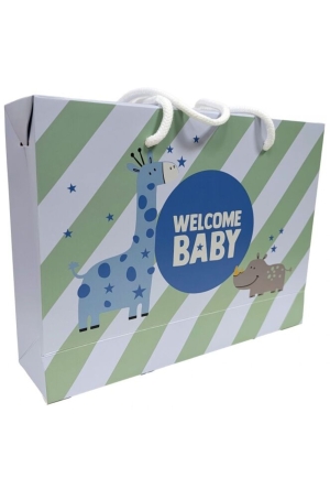 Flinq 202024-04 licht blauw  licht blauw