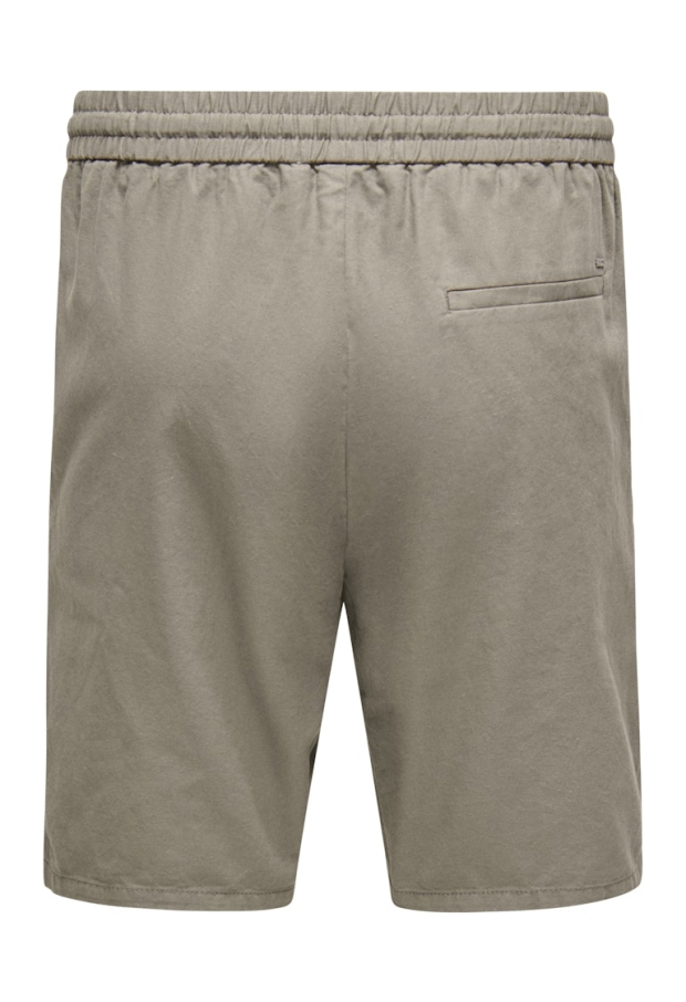 22024967 Fallen Rock