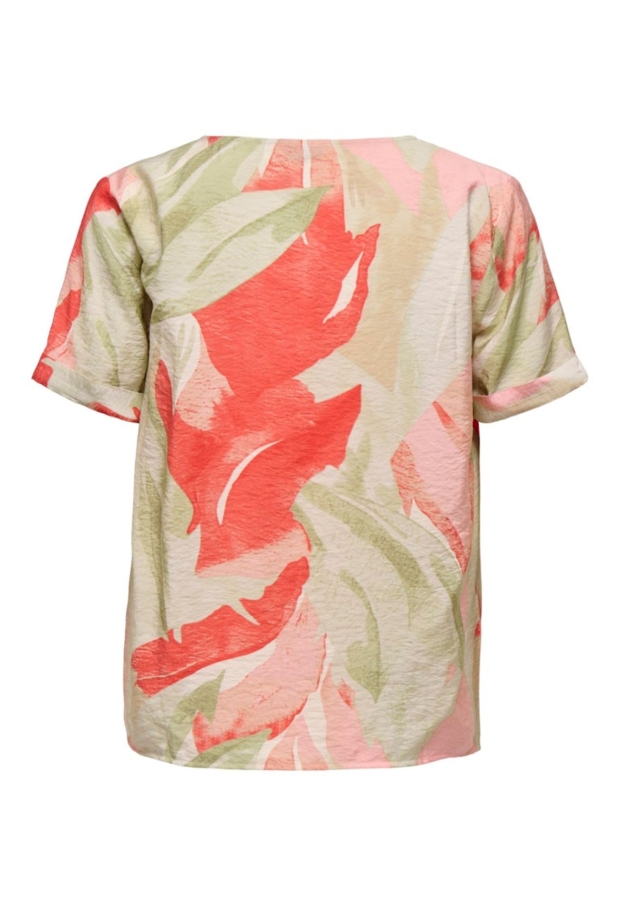 15347361 Sandshell/CLOUD DANCER